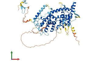 Protein Structure (PS) image for TATA Box Binding Protein (TBP)-Associated Factor, RNA Polymerase I, B, 63kDa (TAF1B) (AA 1-586) protein (His tag) (ABIN7556790)