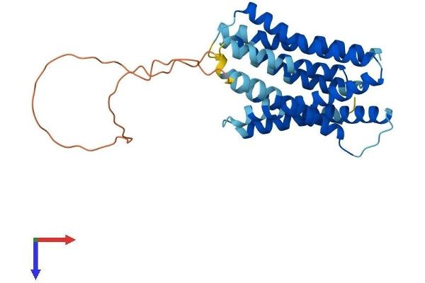 SLC39A3 Protein (AA 1-317) (His tag)