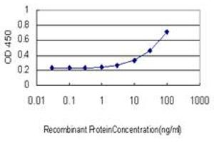 Detection limit for recombinant GST tagged DUSP4 is approximately 3ng/ml as a capture antibody. (DUSP4 antibody  (AA 1-394))