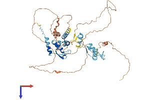 AlphaFold protein structure predicition of Human Recombinant ZBTB34 Protein, UniprotID Q8NCN2