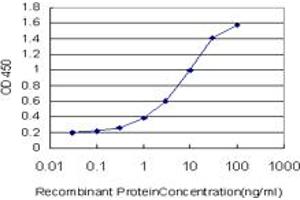 Detection limit for recombinant GST tagged FMN2 is approximately 0. (Formin 2 antibody  (AA 144-243))