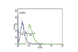 Flow cytometric analysis of CEM cells (right histogram) compared to a negative control cell (left histogram). (DRD4 antibody  (AA 365-391))