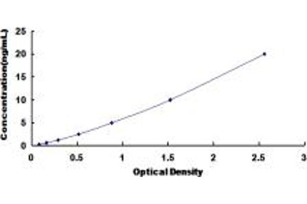 Syncoilin ELISA Kit