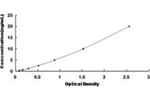 Typical standard curve (Syncoilin ELISA Kit)