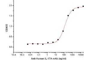 ELISA image for Interleukin 17A (IL17A) (Active) protein (His tag) (ABIN7321033)