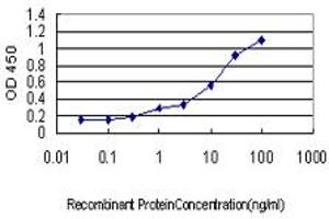 Detection limit for recombinant GST tagged APPBP1 is approximately 0. (NAE1 antibody  (AA 1-534))