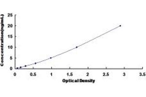 CD11b ELISA Kit