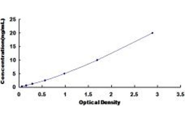 CD11b ELISA Kit