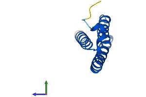 Protein Structure (PS) image for LYR Motif Containing 4 (LYRM4) (AA 1-91) protein (His tag) (ABIN7549121)