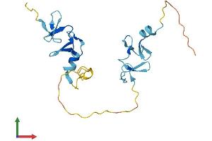 Protein Structure (PS) image for Cysteine and Glycine-Rich Protein 3 (CSRP3) (AA 1-194) protein (His tag) (ABIN7563362)