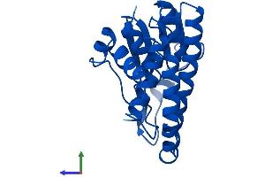 AlphaFold protein structure predicition of Mouse Recombinant Gstm7 Protein, UniprotID Q80W21