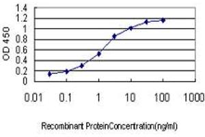 Detection limit for recombinant GST tagged ING1 is approximately 0. (ING1 antibody  (AA 41-140))