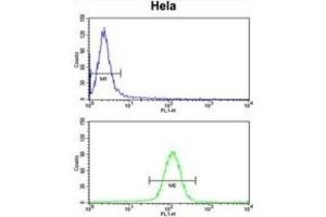 Flow Cytometry (FACS) image for anti-Ubiquitin-Like, Containing PHD and RING Finger Domains, 1 (UHRF1) antibody (ABIN3003938) (UHRF1 antibody)