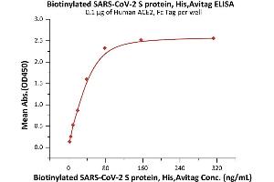 Immobilized Human ACE2, Fc Tag (ABIN6952459,ABIN6952465) at 1 μg/mL (100 μL/well) can bind Biotinylated SARS-CoV-2 S protein, His,Avitag (ABIN6992367) with a linear range of 2-39 ng/mL (QC tested).