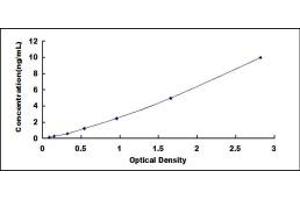 TRF1 ELISA Kit