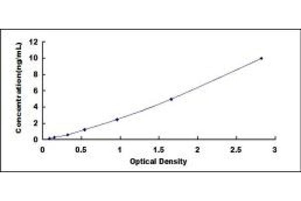 TRF1 ELISA Kit