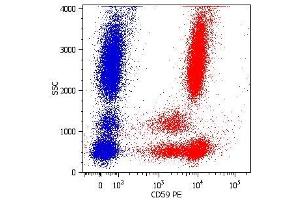 Surface staining of human peripheral blood cells with anti-human CD59 (MEM-43) PE. (CD59 antibody  (APC))