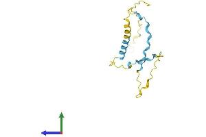 AlphaFold protein structure predicition of Human Recombinant PRR13 Protein, UniprotID Q9NZ81
