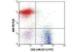 Flow Cytometry (FACS) image for anti-CD19 Molecule (CD19) antibody (PE-Cy5) (ABIN2658933) (CD19 antibody  (PE-Cy5))