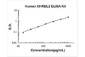 Chordin-Like 2 (CHRDL2) ELISA Kit