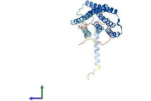 AlphaFold protein structure predicition of Human Recombinant ELOVL4 Protein, UniprotID Q9GZR5