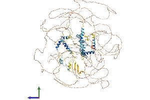 AlphaFold protein structure predicition of Mouse Recombinant Npat Protein, UniprotID Q8BMA5