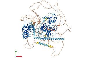 AlphaFold protein structure predicition of Human Recombinant SETDB1 Protein, UniprotID Q15047 (SETDB1 Protein (AA 1-1291) (His tag))