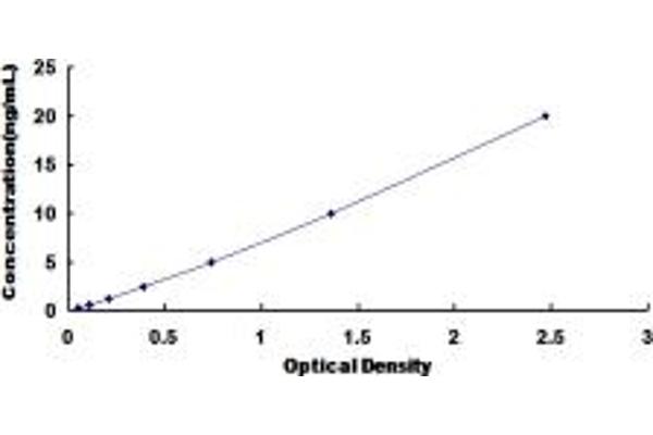 UGT2B7 ELISA Kit