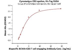 Immobilized Cynomolgus CD3 epsilon, His Tag (ABIN2180775,ABIN2180774) at 2 μg/mL (100 μL/well) can bind Bispecific BCMAxCD3 T cing Antibody  with a linear range of 0. (CD3 epsilon Protein (CD3E) (AA 22-117) (His tag))