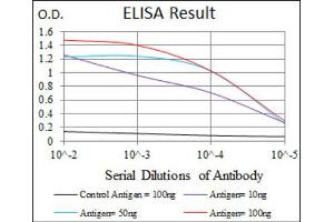 Red: Control Antigen (100ng) ; Purple: Antigen (10ng) ; Green: Antigen (50ng) ; Blue: Antigen (100ng). (DLL4 antibody)
