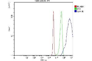 Flow Cytometry analysis of SiHa cells using anti-SAP30 antibody (ABIN7602922). (SAP30 antibody  (C-Term))