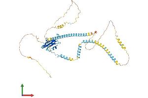 AlphaFold protein structure predicition of Human Recombinant UPF3B Protein, UniprotID Q9BZI7 (UPF3B Protein (AA 1-483) (His tag))