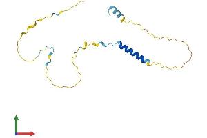 AlphaFold protein structure predicition of Human Recombinant IER3 Protein, UniprotID P46695