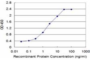 Detection limit for recombinant GST tagged TCAP is approximately 0. (TCAP antibody  (AA 1-167))