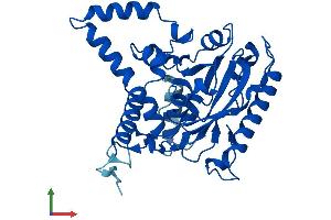 Protein Structure (PS) image for Monoacylglycerol O-Acyltransferase 2 (MOGAT2) (AA 1-334) protein (His tag) (ABIN7558386)