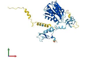 AlphaFold protein structure predicition of Mouse Recombinant Gtf2h2 Protein, UniprotID Q9JIB4
