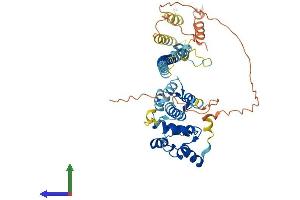 AlphaFold protein structure predicition of Mouse Recombinant Fv1 Protein, UniprotID P70213 (FV1 Protein (AA 1-459) (His tag))