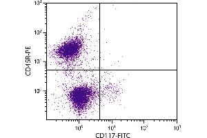 BALB/c mouse bone marrow cells were stained with Rat Anti-Mouse CD117-FITC. (KIT antibody)