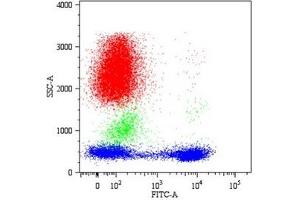 Flow Cytometry (FACS) image for anti-CD5 (CD5) antibody (ABIN238398) (CD5 antibody)