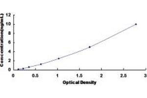 SDHC ELISA Kit