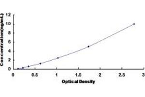 Typical standard curve (SDHC ELISA Kit)