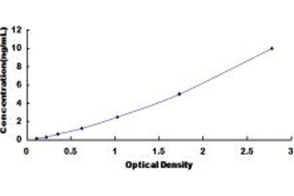 SDHC ELISA Kit
