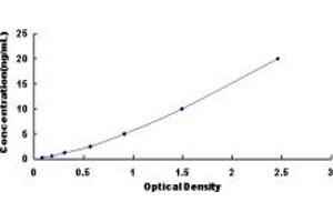 Typical standard curve (TAF13 ELISA Kit)