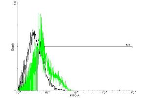 Flow Cytometry (FACS) image for anti-G Protein-Coupled Receptor, Family C, Group 5, Member D (GPRC5D) (AA 1-345) antibody (ABIN527551)