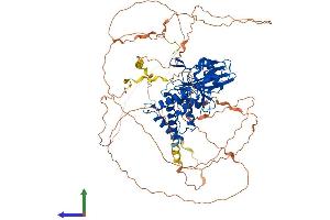AlphaFold protein structure predicition of Human Recombinant PTPN12 Protein, UniprotID Q05209 (PTPN12 Protein (AA 1-780) (His tag))