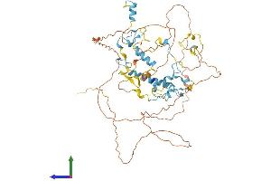 AlphaFold protein structure predicition of Human Recombinant ZCCHC7 Protein, UniprotID Q8N3Z6 (ZCCHC7 Protein (AA 1-543) (His tag))