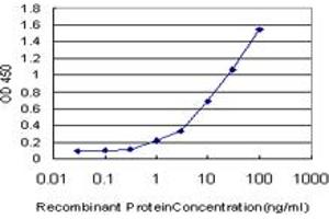Detection limit for recombinant GST tagged DPH2 is approximately 0. (DPH2 antibody  (AA 125-235))