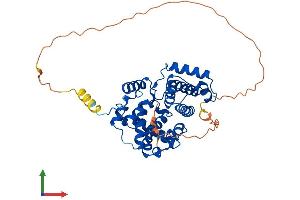 AlphaFold protein structure predicition of Mouse Recombinant Ccnb2 Protein, UniprotID P30276 (Cyclin B2 Protein (CCNB2) (AA 1-398) (His tag))
