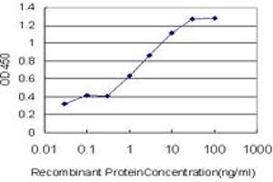 Detection limit for recombinant GST tagged BMP2K is approximately 0. (BMP2K antibody  (AA 540-650))