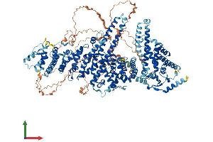 AlphaFold protein structure predicition of Human Recombinant UBE4B Protein, UniprotID O95155